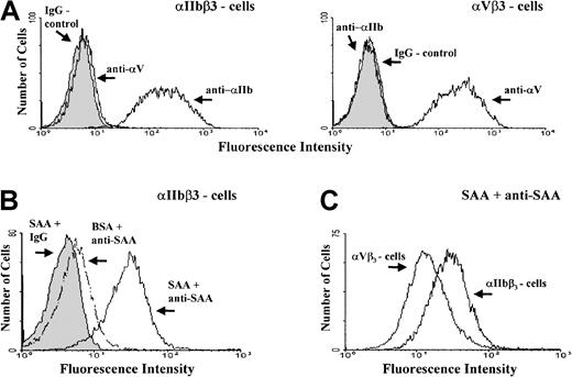 Fig. 7. Flow cytometry of human melanoma cells expressing platelet integrin receptors. / (A) Flow cytometry of cells expressing integrin αIIbβ3 (left panel) or αVβ3 (right panel) after incubation with either one of the antibodies, anti-αIIb (clone 5B12), anti-αVβ3 (clone LM609), or control IgG. (B) Flow cytometry of αIIbβ3-expressing cells after incubation with SAA or control BSA followed by staining with a mixture of anti-SAA antibodies (clones mc29 and mc1) or control IgG. (C) Flow cytometry of αIIbβ3- and αVβ3-expressing cells, after incubation with SAA followed by staining with anti-SAA antibodies. Controls for αVβ3 cells were done as described in Figure B (not shown). One representative experiment of 3 performed is shown.