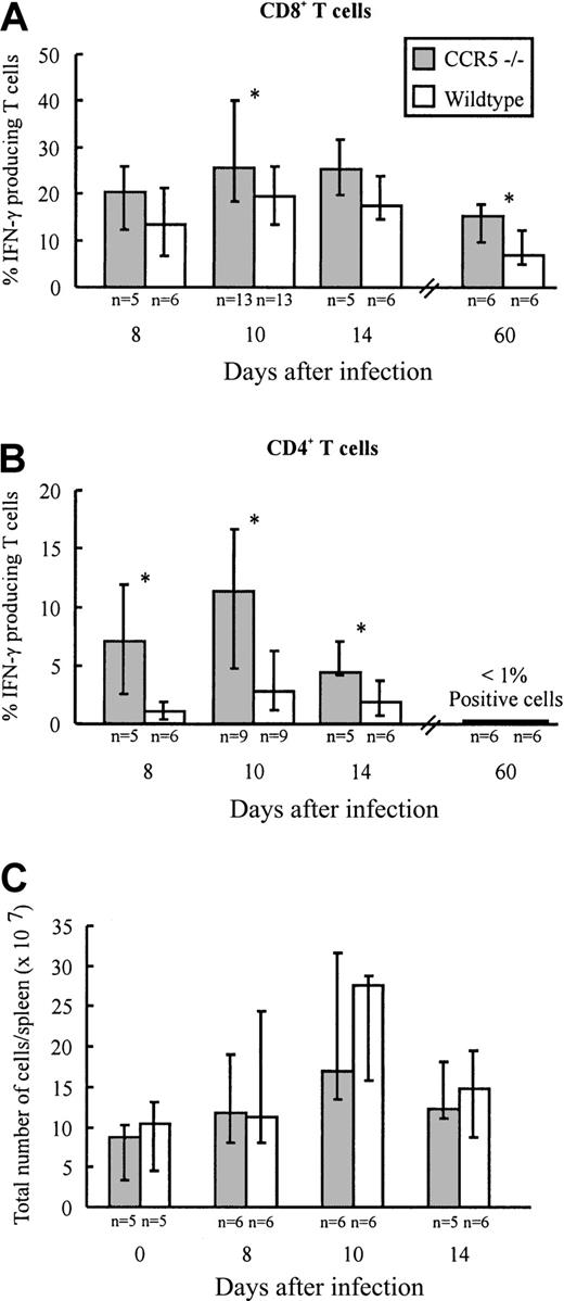 Fig. 1. Frequency of LCMV-specific T cells and total spleen cell numbers in CCR5−/− and wild-type (wt) mice after intravenous LCMV Traub infection. / CCR5−/− and wt mice were infected intravenously with 103 LD50 of LCMV Traub. (A,B) On postinfection days 8, 10, 14, and 60, splenocytes were harvested and the frequency of LCMV-specific VLA-4+ IFN-γ + CD8+T cells (A) or CD4+ T cells (B) were evaluated by flow cytometry. (C) On day 0 (uninfected) and postinfection days 8, 10, and 14, spleens were harvested and the total number of cells per spleen was determined. The results are shown as histograms; columns represent group medians and bars represent ranges. Group sizes are shown below each column. The asterisk denotes P < .05, Mann-Whitney rank test versus wild-type mice.