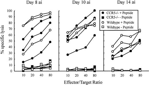 Fig. 3. LCMV-specific Tc activity in CCR5−/− and wild-type (wt) C57BL/6 mice 8, 10, and 14 days after intravenous infection. / Mice were infected intravenously with 103 LD50of LCMV, and Tc activity was assayed in a 51Cr-release assay by use of GP33-41 peptide pulsed EL-4 cells as target cells. Unpulsed EL-4 cells served as control target cells. The Tc activity of 3 mice per group was assayed on the indicated days. “ai” denotes after infection.
