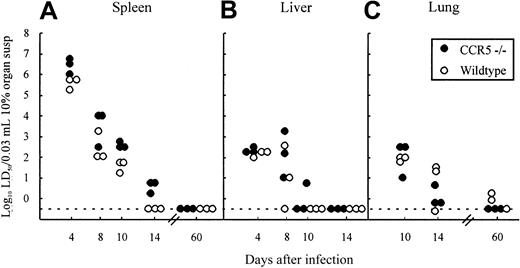 Fig. 4. Organ virus titers in CCR5−/− and wild-type (wt) mice infected intravenously with 103LD50 LCMV Traub. / Organs (spleen, liver, and lung) were harvested on the indicated days relative to virus inoculation and virus titers were determined. Points represent individual mice. Susp indicates suspension.