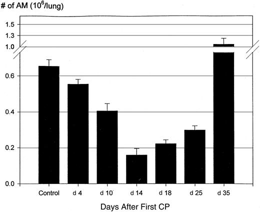 Fig. 2. Reduction of alveolar macrophage population by CP. / Mice were injected subcutaneously with CP as described in Figure 1B. At various times after the first CP, mice were killed and alveolar macrophages were obtained from bronchoalveolar lavage fluids. The number of alveolar macrophages was determined on cytospins. Results are expressed as mean ± SEM from 20 (control), 16 (day 4), 14 (day 10), 5 (day 14), 8 (day 18), 7 (day 25), and 6 (day 35) mice. When compared with the control, the differences at various times are all statistically significant.