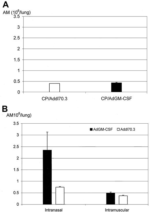 Fig. 5. Expanded alveolar macrophage population by GM-CSF gene transfer. / (A) Mice received intranasally a dose of control gene transfer vector (Addl70.3) or GM-CSF gene transfer vector (AdGM-CSF) at day 5 after the first CP and received 2 additional doses of CP and were then killed at day 10 after the first CP (day 1 after the last CP). (B) Mice received Addl70.3 or AdGM-CSF gene transfer vector either intranasally or intramuscularly at day 10 after the first CP (1 day after the last CP) and were killed at day 15 after the first CP. The number of alveolar macrophages was determined on cytospins. Results are expressed as mean ± SEM from 4 mice (CP/AdGM-CSF) for panel A. The results (intranasal delivery) presented in panel B are expressed as mean ± SEM from 3 mice per group and are representative of 3 independent experiments.