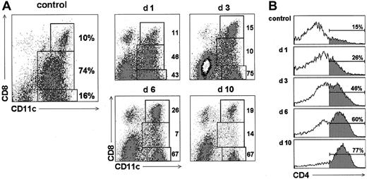 Fig. 1. Changes in the PO-LN DC subsets after MMTV(SW) injection. / (A) CD11c versus CD8α profiles of PO-LN DC-enriched cell suspensions at the indicated times after MMTV(SW) injection. The relative percentages represented by CD8−, CD8int, and CD8+ DC subsets within the total PO-LN DC population are indicated. (B) Variations in the expression of CD4 by PO-LN CD8− DCs after MMTV(SW) injection. The percentage of CD4+ cells within CD8− DCs is indicated. Data are representative of 4 experiments with similar results.