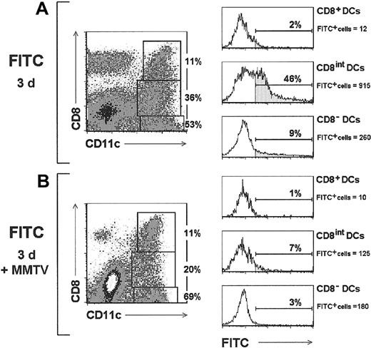 Fig. 6. Inhibition of LC migration by MMTV(SW). / Contour plots correspond to the PO-LN CD11c versus CD8 profiles of control mice or MMTV(SW)-injected mice, analyzed 3 days after FITC-labeling of the hind footpad epidermis. The relative proportion of CD8−, CD8int, and CD8+ DC subsets is indicated. Histograms show FITC labeling of the indicated DC subsets after defining the corresponding gates in the contour plots. The percentage and absolute cell number per PO-LN of FITC+cells is indicated for each DC population. Data are representative of 3 experiments with similar results.