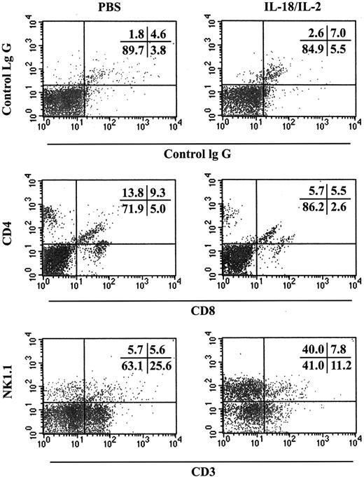 Fig. 3. Infiltration of CD3−NK1.1+ NK cells into the lungs of IL-18/IL-2–treated mice. / B6 mice were treated with control PBS and IL-18 (1 μg) plus IL-2 (50 000 IU) for 4 days; lung lymphocytes were prepared; and FACS analysis was performed as described in “Materials and methods.” Fluorescein isothiocyanate (FITC)–antimouse CD8a mAb, phycoerythrin (PE)–antimouse CD4 mAb, Cy-Chrome–antimouse CD3ε mAb, PE–antimouse NK1.1 mAb, and FITC-, PE-, Cy-–conjugated isotype-matched immunoglobulin were used for FACS analysis.