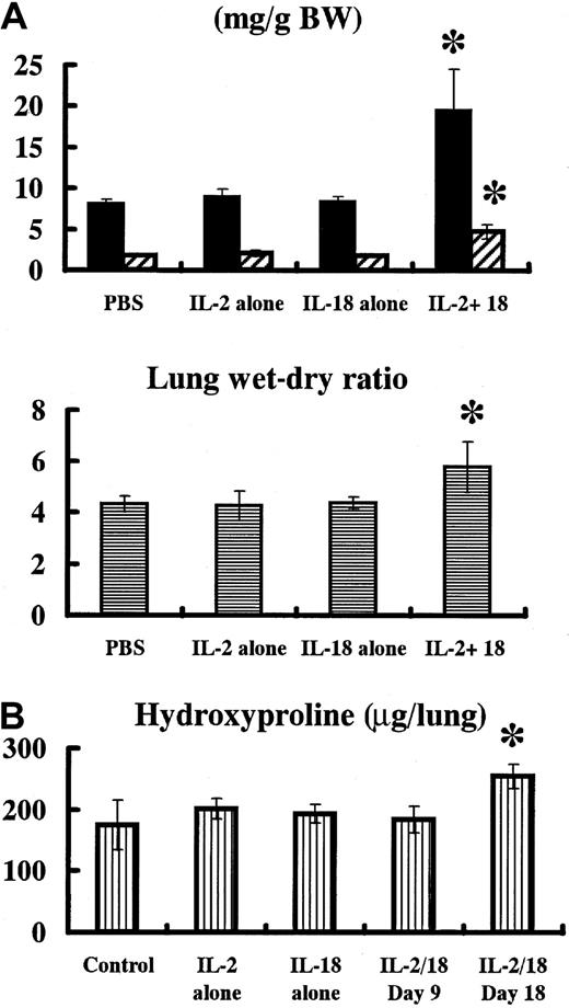 Fig. 4. Wet and dry lung weight of IL-18/IL-2–treated mice. / (A) B6 mice (n = 7 per group) received control PBS, IL-2 (50 000 IU) alone, IL-18 alone (1 μg), or IL-18 (1 μg) plus IL-2 (50 000 IU) daily for 8 days. Mice were bled and killed, and wet lung, dry lung, and body weight (BW) were measured. Wet (▪) and dry (▨) lung weight and lung wet-dry ratio in IL-18/IL-2–treated mice were significantly (P < .05) higher than that in PBS, IL-2, and IL-18–treated mice. (B) Hydroxyproline content of lungs of IL-18/IL-2–treated mice. B6 mice (n = 5 per group) were daily given control PBS, IL-2 (50 000 IU) alone, IL-18 alone (0.1 μg), or IL-18 (0.1 μg) plus IL-2 (50 000 IU) for 18 days. Then, mice were killed, and hydroxyproline content of lungs was measured. *Significantly (P < .05) higher than those in B6 mice treated with control PBS, IL-2 alone, IL-18 alone, and IL-18/IL-2 (day-9 treatment).