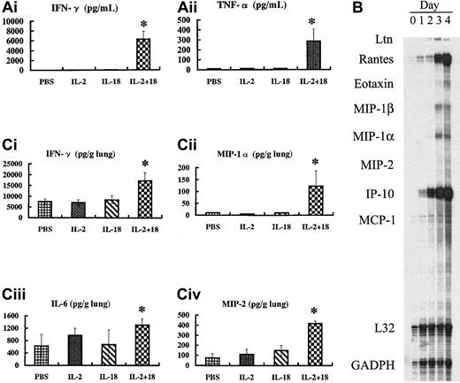 Fig. 5. Increased cytokine and chemokine levels in IL-18/IL-2–treated mice. / (A) B6 (n = 8 per group) mice were treated with control PBS, IL-2 (50 000 IU) alone, IL-18 (1 μg) alone, or IL-2 (50 000 IU) plus IL-18 (1 μg) once a day. At 6 hours after the third injection, mice were killed; the sera were immediately harvested; and serum cytokine levels were measure by ELISA. (B) B6 mice were treated with IL-2 (50 000 IU) plus IL-18 (1 μg) once a day for 4 days. At 2 hours after every injection, mice were killed; the lung tissue was immediately harvested; and total RNA was isolated. Total cytoplasmic RNA (1 μg) was used for chemokine mRNA analysis by means of the multiprobe RNase protection assay. (C) B6 mice (n = 10 per group) were treated with control PBS, IL-2 (50 000 IU) alone, IL-18 (1 μg) alone, or IL-2 (50 000 IU) plus IL-18 (1 μg) once a day, and 6 hours after the third injection, mice were killed. ELISA assayed the lung tissue supernatants as described in “Materials and methods.” *Significantly (P < .05) higher than in B6 mice treated with control PBS, IL-2 alone, and IL-18 alone.