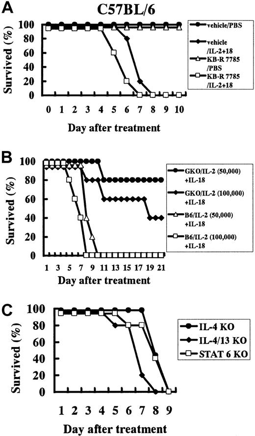 Fig. 6. Effect of a metalloproteinase inhibitor on IL-18/IL-2 lethality and effect of IL-18/IL-2 in gene knockout mice. / (A) Effect of a metalloproteinase inhibitor on IL-18/IL-2 lethality. Metalloproteinase inhibitor (KB-R7785) was suspended in sterile 0.5% CMC at 10 mg/mL. B6 mice (n = 10 per group) were treated daily with an intraperitoneal injection of 0.2 mL KB-R7785 or 0.5% CMC (vehicle). Then mice were daily treated with IL-18 (1 μg) plus IL-2 (50 000 IU) or control PBS for 10 days. (B) (C) Effect of IL-18/IL-2 in IFN-γ−/− (GKO) (panel B), IL-4−/−, IL-13−/−, IL-4/IL-13−/−, and Stat6−/− mice (panel C). Mice (n = 5 to 20 per group) were treated daily with IL-18 (1 μg) plus IL-2 (50 000 IU) for 21 days.