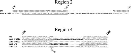 Fig. 3. Sequences of the C/EBPα duplication and deletion mutants found in the MDS and AML patients. / Panel A represents an alignment of a portion of region 2 of the WT sequence of C/EBPα with the sequence from the MDS patient F3881. Panel B represents an alignment of a portion of region 4 of the WT sequence with the AML patient samples F3820 (24-bp duplication), F3901 (3-bp deletion), J3 (15-bp duplication), and J6 (3-bp duplication). The duplications are in bold text, and the duplicated regions are indicated by underlined italics. The codons for the alanine at position 134 (Ala134) in region 2 and the lysine at position 312 (Lys312) in region 4 are underlined and indicated above and below the nucleotide sequence, respectively.