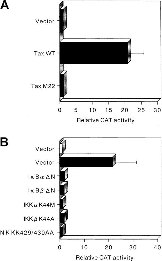 Fig. 5. Tax transactivates the MMP-9 promoter mainly through the NF-κB pathway. / (A) Jurkat cells were transfected with HTLV-I Tax (Tax WT), M22 Tax, or pHβAPr-1-neo vector and a CAT reporter construct containing the full-length MMP-9 promoter (−670 CAT). The results are expressed as fold induction relative to the basal level measured in cells transfected with the empty vector (pHβAPr-1-neo). (B) The indicated effector plasmids were cotransfected with −670 CAT. Open bar represents CAT activity of empty vector (pCMV4) without Tax. Solid bars represent CAT activity of IκBα and IκBβ mutants and kinase-deficient IKKα, IKKβ, and NIK mutants in the presence of Tax. The activities are given relative to the activity of empty vector (pCMV4) without Tax, which was defined as 1. The mean values and SDs represented were obtained from 3 experiments.