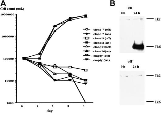 Fig. 2. Cell growth following induction of Ik6. / Growth of cells from 32D/TREx/Ik6 clones (clone 7, 11, and 14) and 32D/TREx/empty. Numbers of viable cells were determined by trypan blue dye exclusion. All 3 Ik6 clones grew well in an IL-3–deprived culture medium in the presence of tetracycline (closed symbols; Ik6 on), but not in its absence (open symbols; Ik6 off). No growth of the empty clone was noted in either medium. (B) Western blot analysis before (0 hour) and after (24 hours) induction of Ik6 in cells from 32D/TREx/Ik6 clone 11. Note Ik6 induction in cells cultured for 24 hours in IL-3–deprived medium with tetracycline (on).