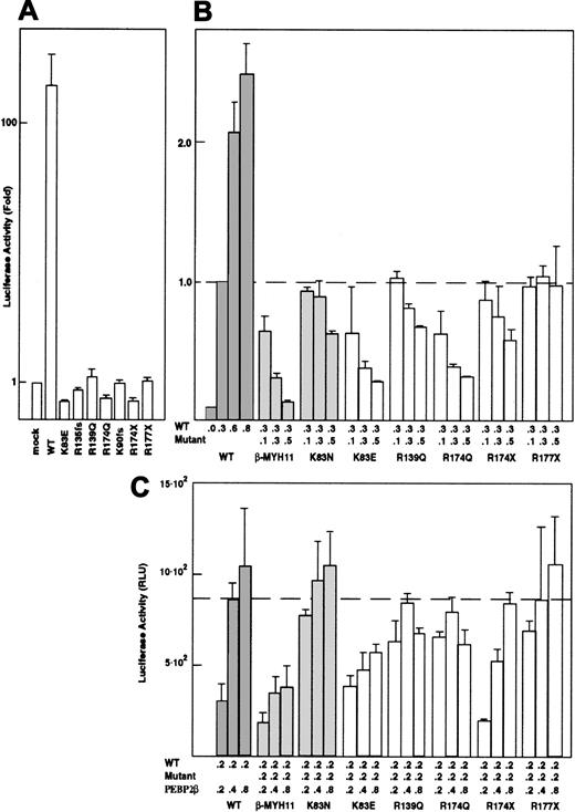 Fig. 5. Transactivation of the M-CSF receptor promoter by exogenously expressed RUNX1 proteins. / (A) Cells were transfected with a luciferase reporter plasmid and the indicated RUNX1 expression constructs. Luciferase activities were measured and presented as the fold increase relative to the control transfected with the backbone expression vector. (B) The wild-type RUNX1 and missense RUNX1 mutants were coexpressed in varying doses as indicated. Luciferase activities are expressed as fold changes relative to the activity observed at the standard dose (0.3 μg) of the wild-type RUNX1 alone. (C) PEBP2β/CBFβ was transfected in varying doses with a repressive dose of wild-type and mutant RUNX1 proteins. In panels A-C, each value represents the mean of 3 separate experiments. The luciferase activity of the y-axis in panel C is shown as relative luciferase units (RLU). Deviations of the measurements are given by thin vertical bars. The chimeric protein PEBP2β/CBFβ-MYH11 and the sporadic mutation K83N were used as controls in each experiment. All examples in this figure are in U937 cells.