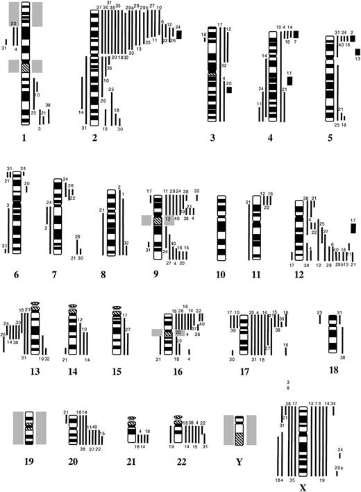 Fig. 1. Ideogram of gains and losses of chromosomal regions in 41 cases of cHL. / Lines on the right of each ideogram indicate gains, lines on the left show losses of chromosomal material. High-level DNA amplifications are symbolized by bold lines. cHL tumors are indicated by numbers.