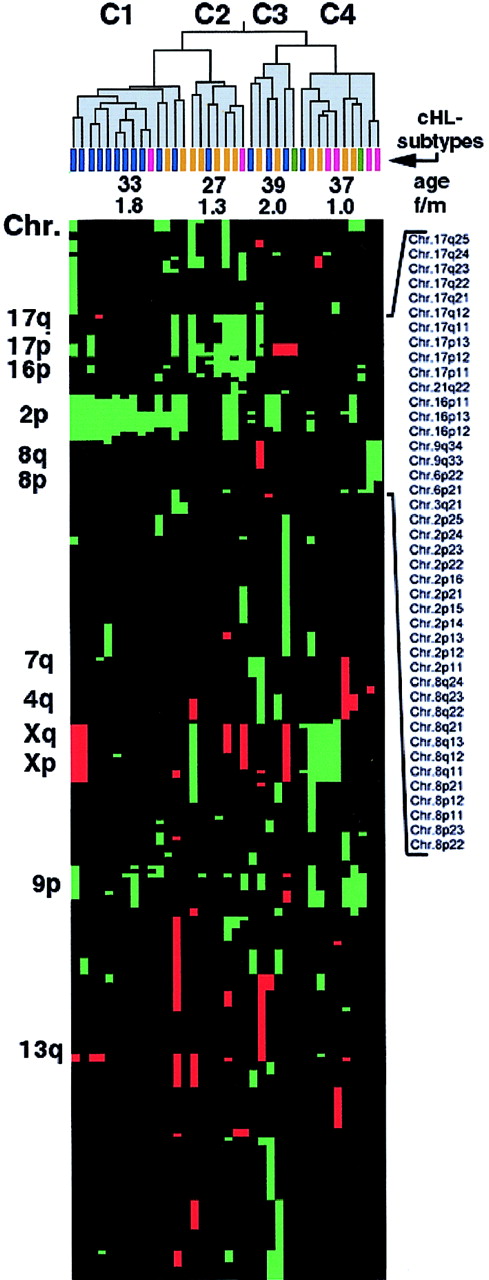 Fig. 2. Hierarchical cluster analysis of 37 cHLs with chromosomal imbalances. / Data are according to Eisen et al.22 The dendrogram was divided into clusters C1 to C4, which are indicated in gray. Histologic subtypes of the clustered cHL tumors are indicated by differently colored bars—cHL-NS in blue, cHL-MC in orange, cHL-LR in violet, and cHL-LD in green. Average values of age at time of diagnosis and the female-to-male ratio (f/m) in C1 to C4 are indicated. Below the dendrogram, all gains and losses of chromosomal subbands are represented by green and red squares, respectively. Selected chromosomal arms and subbands are indicated. Note the clustering of cHL-NS tumors in C1 compared with the dispersed distribution of cHL-MC tumors in clusters C2 to C4. In C2 a distinct group of mostly cHL-MC cases is visible, associated with gains of chromosome 17p and a low average age of the patients at the time of diagnosis.
