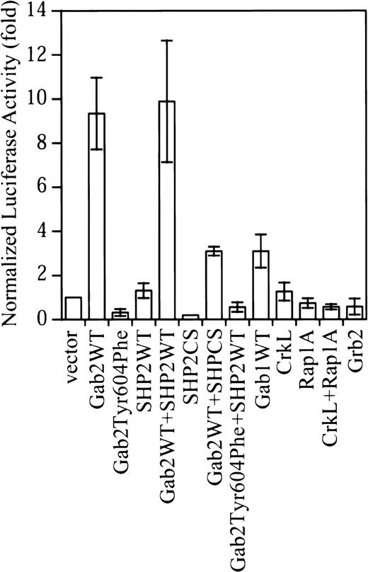 Fig. 1. Overexpression of Gab2 activates the c-fos SRE transcriptional activity in K562 cells. / K562 cells (2 × 106) cells were transfected with a total of 4.7 μg DNA consisting of 0.5 μg c-fos SRE luciferase reporter (pSRE-luc), 0.2 μg pCMV-βgal internal control vector, and 2 μg of each test construct. Where a single test construct was used, pcDNA3.1 was added to keep the amount of total DNA constant. At 48 hours after transfection, luciferase activity was measured and normalized to β-galactosidase activity. Data shown are the means and SDs of 3 or more independent experiments performed in duplicate.