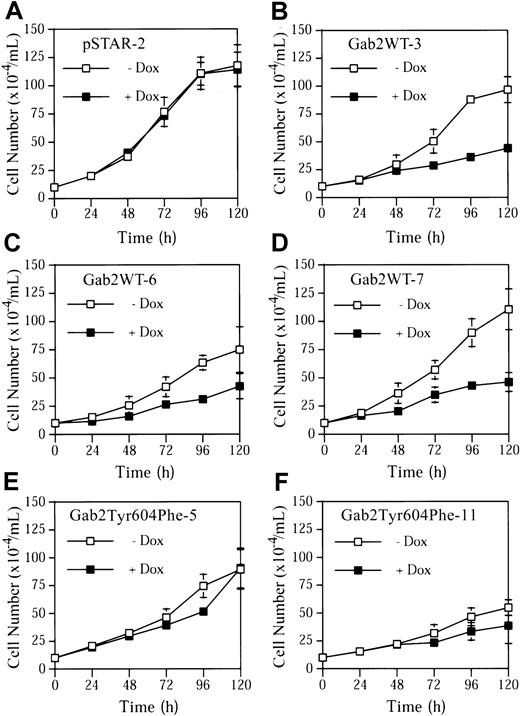 Fig. 5. Growth arrest of K562 cell lines induced by expression of wild-type Gab2, but not by SHP2-binding defective Gab2. / K562-derived cell lines pSTAR-2, Gab2WT-3, Gab2WT-6, Gab2WT-7, Gab2Tyr604Phe-5, or Gab2Tyr604Phe-11 were plated at a cell density of 1 × 105/mL and treated with or without dox (1 μg/mL). Total cell numbers of each sample were determined every 24 hours for 120 hours. The data represent means and SDs of 2 duplicate experiments.