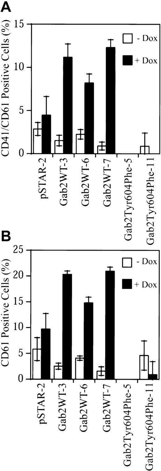 Fig. 7. Upregulation of megakaryocyte/platelet–specific cell markers by Gab2. / K562-derived cell lines were treated with or without dox for 7 days. Cells (1 × 106) were processed for flow cytometry analyses of surface expression of CD41/CD61 complex (panel A) or CD61 (panel B). The fluorescent signal from the isotype control antibody has been subtracted from that of each sample. The results represent the means and SDs of 2 independent experiments performed in duplicate.
