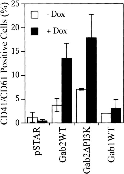 Fig. 8. Induction CD41/CD61 expression by Gab2, Gab2ΔPI3K, and Gab1. / K562 cells (2.5 × 106) were transfected with 1:4 DNA ratio of pDsRed1-C1 and the indicated pSTAR constructs. Transfected cells were incubated with or without dox (4 μg/mL) for 5 days. After staining with an FITC-conjugated anti-CD41/CD61 complex antibody and 7-AAD, cells were analyzed by flow cytometry. The 7-AAD+cells were excluded, and 1 × 104 RFP+ cells were analyzed for CD41/CD61 expression. The fluorescent signal from the isotype control antibody has been subtracted from that of each sample. The data are from 3 separate experiments.