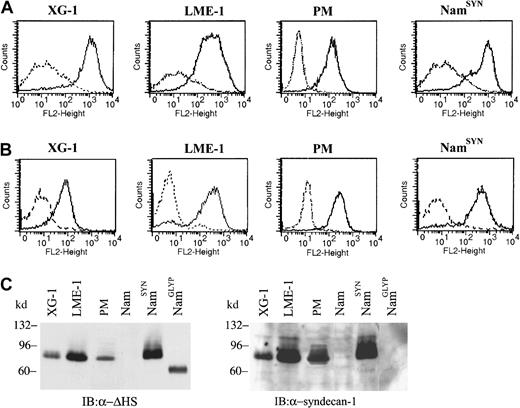 Fig. 1. Expression of HSPGs and syndecan-1 on MM cells. / (A) Expression of HS on the MM cells. Cell lines XG-1 and LME-1 and primary myeloma (PM) cells were stained with a mouse anti-HS antibody (10E4; solid line), or isotype control (dashed line), followed by R-phycoerythrin–conjugated goat antimouse and analyzed by FACS. (B) Expression of the HSPG core protein syndecan-1 by XG-1 and LME-1 cell lines and by PM cells. Cells were stained with a mouse anti–syndecan-1 antibody (B-B4; solid line) or isotype control (dashed line), and expression was analyzed by FACS. The syndecan-1 stably transfected cell line Namalwa (NamSYN) was used as a positive control. (C) XG-1, LME-1, and PM cells express a single HSPG of approximately 90 kd that represents syndecan-1. (Left panel) HSPG expression was detected with mAb 3G10 against desaturated uronate (ΔHS stubs) of HS. To allow detection of the ΔHS stubs, the cells were treated with heparitinase before immunoblotting. Namalwa cell lines, either wild type (Nam) or stably transfected with syndecan-1 (NamSYN) or glypican-1 (NamGLYP), were used as negative and positive controls for HSPG and syndecan-1 expression. (Right panel) After stripping, the same blot was restained with mAb B-B4 against syndecan-1.