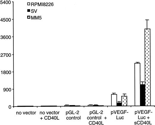 Fig. 8. CD40 activation enhances VEGF promoter activity. / MM cells were first incubated overnight in 2% fetal bovine serum containing RPMI 1640 medium at 37°C. A 2.3-kb full-length human VEGF promoter-luciferase reporter (VEGF-Luc) was transduced into MM cells by adenoviruses. MM cells were cultured for 6 hours in the presence or absence of sCD40L, in duplicate wells for each condition. Luciferase activity was analyzed using equal amounts of total protein for each sample. Mock-transduced MM cells with Luc reporter without any VEGF promoter sequences (Luc) served as a negative control. Luciferase activity was consistently induced (4-fold for RPMI 8226, 5.5-fold for SV, and 6-fold for patient MM5 cells) in sCD40L-activated cells compared with unstimulated cells. Results are representative of 2 independent experiments performed in duplicate cultures. (■) RPMI 8226; (▪) SV; and () patient MM5 cells.