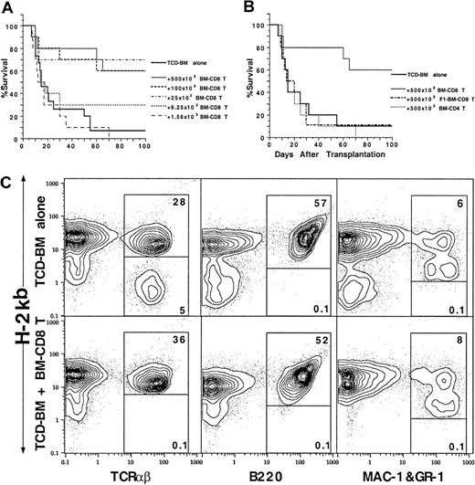 Fig. 6. Ability of donor BM CD4+ and CD8+ T cells to facilitate engraftment. / Graded numbers of sorted C57BL/6 BM CD4+ and CD8+ T cells were added to constant numbers (750 × 103) of C57BL/6 TCD BM cells and injected into lethally irradiated BALB/c recipients. Survival over a 100-day observation period is shown for groups of 10 to 20 mice. Data are combined from at least 2 replicate experiments. (A) Graded numbers of BM CD8+ T cells. (B) C57BL/6 BM CD4+ T cells or BM CD8+ T cells from C57BL/6xBALB/c F1 mice. (C) Chimerism of the BALB/c recipients given C57BL/6 TCD-BM cells alone or C57BL/6 TCD-BM and C57BL/6 BM CD8+ T cells 100 day after BM transplantation. The spleen cells were stained for anti–H-2Kb versus TCRαβ, B220, or MAC-1 and Gr-1 markers. The donor-type cells are shown in the upper box and host-type cells in the lower box in each panel.