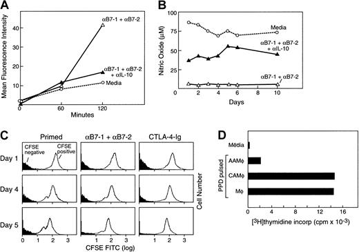 Fig. 4. Increased phagocytotic activity but decreased ability for antigen processing and antigen presentation in macrophages isolated from anergizing MLR cultures. / (A) CD14+ cells isolated from the indicated culture conditions were incubated with FITC-dextran for various time intervals, and endocytotic capacity was determined by flow cytometry. Results are representative of 3 experiments. (B) Following the indicated conditions and time intervals of MLR cultures, supernatants were isolated and examined for production of NO by colorimetric enzymatic assay. Results are representative of 2 experiments. (C) CFSE-labeled responder PBMCs were cultured with irradiated unlabeled (CFSE-negative) allogeneic stimulators. At various time intervals of culture, labeled CFSE-positive responder and unlabeled CFSE-negative stimulator populations were examined by flow cytometry. Results are representative of 4 experiments. (D) PBMCs from rigorous PPD responder individuals were cultured in 1:1 ratio with irradiated allogeneic PBMCs as stimulators with either medium or anti–B7-1 plus anti–B7-2 mAbs. After 7 days of culture, CD14+ cells were isolated, loaded with PPD, and used to stimulate autologous purified T cells. As controls, freshly isolated CD14+ cells were loaded with PPD and used as stimulators of autologous T cells in the same experiment. Response was determined by 3H-thymidine incorporation for the last 18 hours of the 5-day culture period.