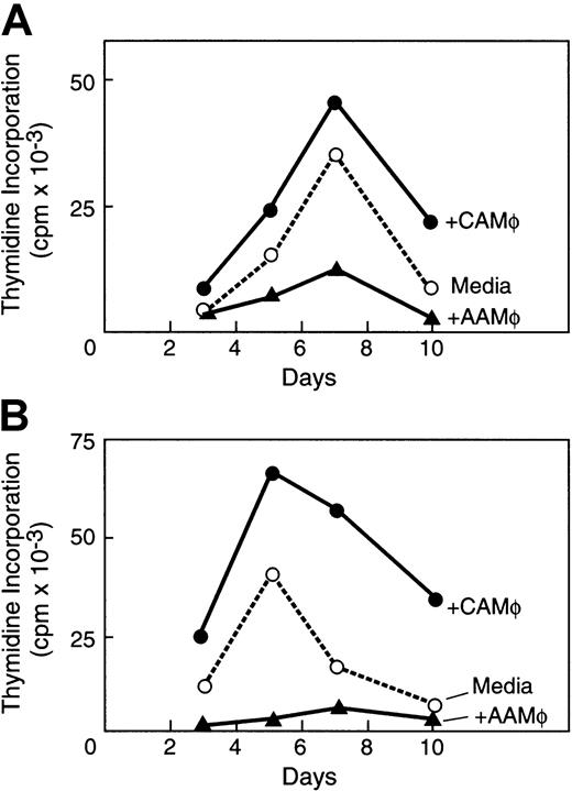 Fig. 5. AAMΦ from anergizing MLR cultures suppress T-cell alloresponses. / AAMΦ isolated from anergizing MLR cultures and CAMΦ isolated from priming MLR cultures were added in (A) a new primary MLR and (B) in a new secondary MLR of the purified original CD4+ responders and original PBMC stimulators. The effects of AAMΦ and CAMΦ were compared with the response of MLR in medium alone and were determined by 3H-thymidine incorporation for the last 16 hours of the indicated time intervals of culture.