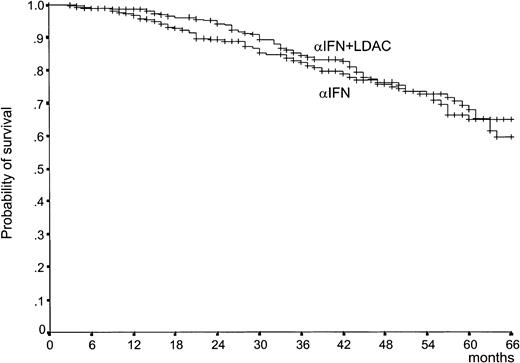 Fig. 3. Survival. / Survival from randomization (P = .77, log rank test). The patients who received alloBMT in first CP were censored at the date of BMT. The number of cases at risk at 12, 24, 36, 48, and 60 months is 246, 217, 181, 111, and 53, respectively, in the IFN-α–plus–LDAC arm, and 225, 178, 151, 100, and 49, respectively, in the IFN-α arm.
