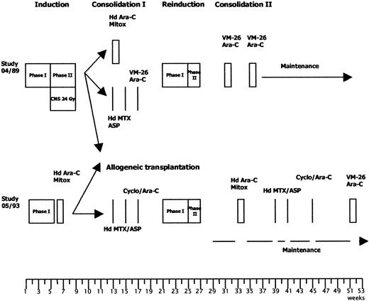 Fig. 1. Treatment strategies for high-risk patients in the GMALL studies 04/89 and 05/93. / The therapy protocols are given in detail in Table 2.