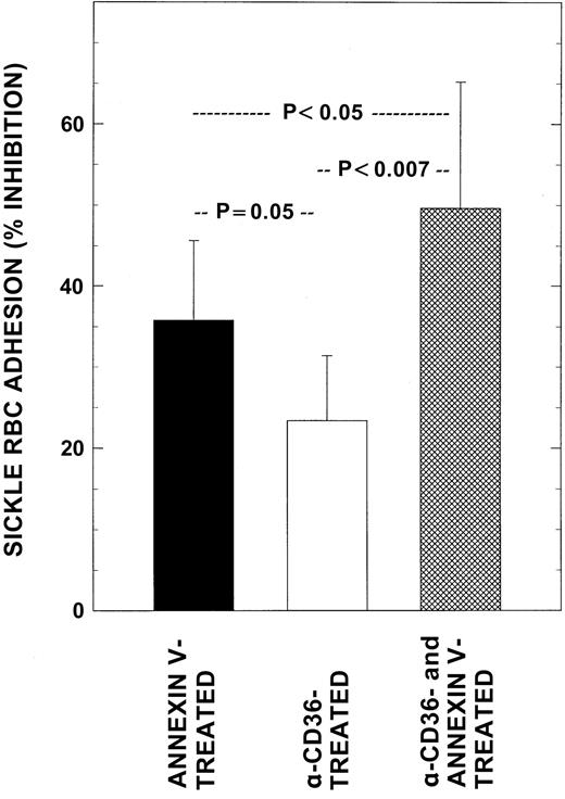 Fig. 4. Effects of blocking RBC adhesion markers on adhesion. / Washed RBCs from patients with SCD were pretreated with either anti-CD36 alone, annexin V alone, or in combination to cloak cell surface CD36 and PS and then assessed simultaneously for their adhesion potential and surface adhesion marker levels as described. Mean adhesion ratio for untreated control sickle RBCs in these experiments was 7.03 ± 1.28. Values presented are the mean ± SD from 6 patients.