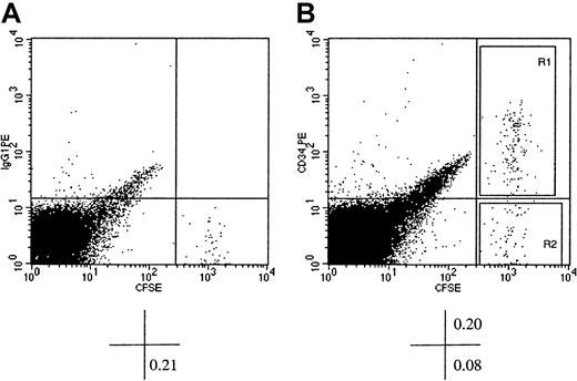 Fig. 1. Flow cytometric analysis of murine BM cells of NOD/SCID recipients of CFSE-stained xenografts of human CD34+ cells. / Human BM CD34+ cells were stained with CFSE and transplanted into conditioned NOD/SCID recipients. At 40 hours AT, mice were killed, and BM cells were stained with PE-conjugated immunoglobulin G1 (isotype control, dot plot A) or PE-conjugated CD34 (dot plot B) and analyzed flow cytometrically. CFSE fluorescence was detected on the x-axis and that of PE on the y-axis. Dot plot A shows CFSE+ cells with background level of PE fluorescence (identified by the horizontal cursor) clearly distinguishable from murine CFSE− BM cells. In dot plot B, which displays light scatter gated events from a listmode file containing 1.5 × 105 events, a prominent population of CFSE+CD34+ cells can be identified. The percentage of cells contained in pertinent quadrants is given below each dot plot. Sort windows R1 and R2 in dot plot B were used to isolate CFSE+CD34+ and CFSE+CD34− cells, respectively. Please note that the width of the sorting windows R1 and R2 was sufficient to include all detectable CFSE+ cells regardless of their proliferative history in the BM of recipient mice.
