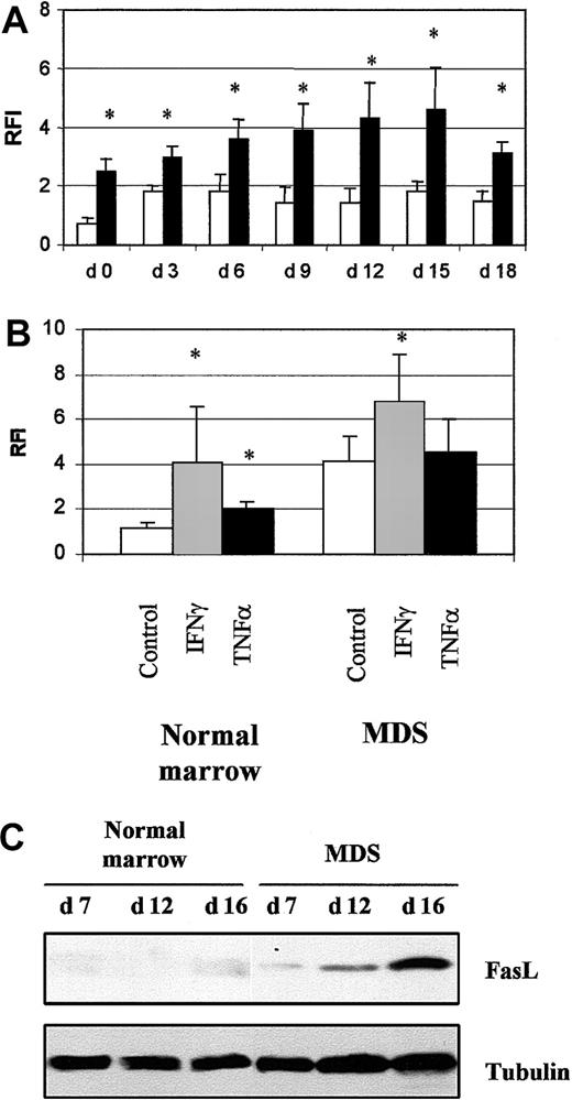 Fig. 8. Fas and Fas ligand expression. / (A) Fas expression in 4 normal cultures (■) and 8 MDS (▪) cultures analyzed by flow cytometry. (B) Modulation of Fas expression by incubation with 1000 IU/mL IFN-γ or 10 ng/mL TNF-α for 16 hours in 4 normal and 8 MDS samples. Results are the ratios of fluorescence intensities (RFI) for specific and irrelevant isotype-matched antibody. The asterisk indicates P < .05. (C) Fas ligand analyzed by Western blotting. Antitubulin antibody was used to check protein loading. Results are representative of analyses of 3 normal and 5 MDS samples.