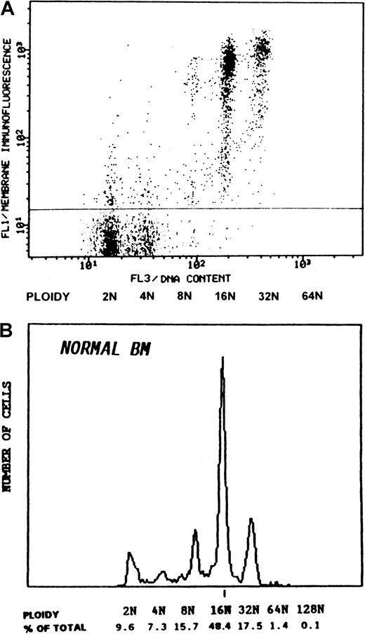 Fig. 1. Ploidy distribution of normal human megakaryocytes. / The distribution of the marrow cells according to the membrane-CD41a (GPIIb/IIIa) immunofluorescence (FL1) and the DNA content (FL3) is shown (A). Cells with background fluorescence (below the horizontal line) represent the major marrow cell population with ploidy classes of 2N and 4N. The highly fluorescent cells (above the horizontal line) represent the megakaryocyte population with polyploid subclasses, as demonstrated in the DNA histogram (B). The modal ploidy is 16N cells comprising about 50% of the total MKs. Three thousand MKs, consisting of 0.05% of the total nucleated marrow cells, were analyzed. To improve visualization, the presentation of the MK population was electronically enhanced in panel A.