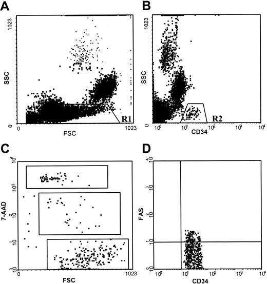Fig. 1. Flow cytometric analysis of normal BMMCs stained with anti-CD34 antibody, anti-Fas (CD95) antibody, and 7AAD. / (A) Scattergram of forward light scatter (FSC) versus right-angle light scatter (SSC), to allow gating on the BMMCs (low FSC and low SSC properties) (R1). (B) Scattergram of anti-CD34 fluorescence versus SSC gated on R1, to allow gating on CD34+ cells (R2). (C) Scattergram of FSC versus 7AAD fluorescence gated on R2, showing 7AADbright (dead), 7AADdim (apoptotic), and 7AAD− (live) cells. (D) Scattergram of anti-CD34 versus anti-Fas fluorescence gated on R2, showing Fas+ and Fas− CD34+ cells. Similar staining patterns were obtained for RA BM samples.