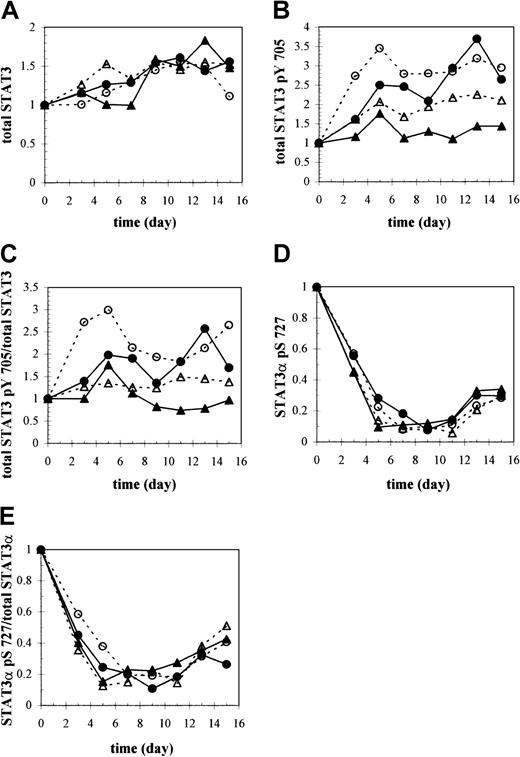 Fig. 6. Western analysis of STAT3, tyrosine-phosphorylated STAT3, and serine-phosphorylated STAT3. / Total (A) STAT3, (B) tyrosine-phosphorylated STAT3 (STAT3 pTyr 705), and (D) serine-phosphorylated STAT3 (STAT3α pSer 727) protein as a function of time and culture condition were quantified based on equivalent amounts of total protein by analyzing the immunoblots shown in Figure 4A-C (culture conditions 1-4), respectively, with ImageQuant software. The signal intensities for each isoform within a lane were added to yield the total amount of STAT3, STAT3 pTyr 705, or STAT3 pSer 727 protein and expressed relative to the day 0 value. Anti-STAT3 pSer 727 antibody specifically recognized the phosphorylated serine 727 site found only in the STAT3α isoform. (C) STAT3 pTyr 705 was normalized to total STAT3 levels, or (E) STAT3 pSer 727 protein was normalized to total STAT3α levels at each time point to show changes in the fraction of STAT3 that is either tyrosine- or serine-phosphorylated, respectively, during differentiation. ▴ indicates 5% O2, pH 7.25, +IL-3; ▵ indicates 20% O2, pH 7.25, +IL-3; ● indicates 5% O2, pH 7.4, +IL-3; and ● indicates 5% O2, pH 7.25, −IL-3.