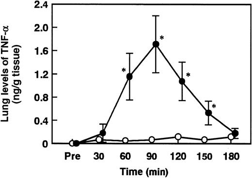Fig. 8. Changes in lung levels of TNF-α in rats administered saline or ET. / Animals were administered saline (control, open circles) or ET (5 mg/kg, closed circles). Lung tissue was obtained from rats and homogenized in HEPES buffer. After centrifugation of lung homogenate, the supernatant was assayed using a rat TNF-α enzyme-linked immunosorbent assay kit. Lung levels of TNF-α were determined at the indicated time points after the administration of saline or ET. Pre indicates the time just before ET administration. Data are expressed as means ± SD of 4 animals. *P < .01 versus control.