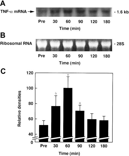 Fig. 10. Changes in lung level of TNF-α mRNA in rats administered ET. / Expression of TNF-α mRNA was examined in the lungs at the indicated time points after ET (5 mg/kg) administration. Chemiluminograms of typical expression of TNF-α mRNA (1.6 kb) from 4 determinations (A) and ethidium bromide staining of 28S ribosomal RNAs (3 μg of total RNA per each lane) (B) at each time point are shown. (C) The chemiluminograms of TNF-α mRNA expression were quantified, and the results are presented as means ±SD of 4 animals. Pre indicates the time just before ET administration. Mean level of maximal value is arbitrarily set at 100. *P < .01 versus pre.