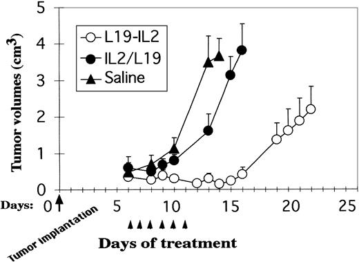 Fig. 4. Growth inhibition of established tumors with L19–IL-2 fusion protein. / Volumes (cm3) of F9 teratocarcinoma tumors from syngeneic mice after 6 days of intravenous treatment with 250 000 IU of IL-2 as L19–IL-2 or as an equimolar mixture of IL-2 and L19 or with saline. Each group comprised 6 mice. Therapy was started 6 days after tumor implantation, when tumor size was 0.4 to 0.5 cm3. Arrowheads indicate the days of treatment. Tumor size was determined by caliper measurements in 2 perpendicular dimensions, and tumor volume was determined according to the formula: (short dimension)2 × (long dimension) × 0.52.16 SEs are indicated.