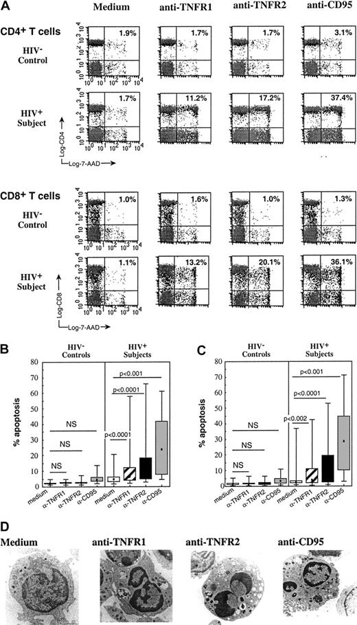 Fig. 1. T lymphocytes from HIV-infected individuals are susceptible to TNFR1-and TNFR2-mediated apoptosis. / (A) Freshly isolated PBMCs from healthy subjects (n = 15) or HIV-infected donors (n = 42) were incubated overnight with coated anti-TNFR1 or anti-TNFR2 mAbs as described in “Materials and methods.” Phenotypic identification of apoptotic cells was performed by costaining of cultured cells with CD4- or CD8-specific mAbs and 7-AAD. Representative dot plots of CD4 and CD8 T cells from a control donor and an HIV-1+ patient are shown. Numbers in each quadrant indicate the percentage of apoptotic cells (7-AAD+) within CD4 and CD8 subsets under indicated culture conditions. Median percentages (25-75th percentiles) of apoptotic cells within CD4 (B) and CD8 (C) subsets are shown in both groups of donors. Statistical significance was assessed by the Wilcoxon signed rank test for paired data. (D) Cells (1 × 106) submitted to indicated stimuli were fixed with 2.5% glutaraldehyde in Sorensen buffer (phosphate 0.1 M, pH = 7.4) and further dehydrated in a series of ethanol solutions (30%-100%). They were then embedded in epoxy. Sections were performed with a Reichter-Jung ultramicrotome before examination. Original magnification, × 5000 with a Jeol JEM 1200 EX electron microscope.