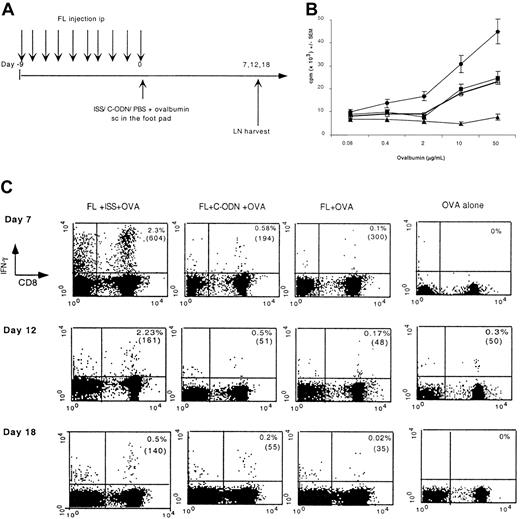 Fig. 3. ISS increases T-cell priming in FL-treated mice. / (A) Experimental design. Groups of 3 mice received daily injections of FL or PBS from day −9 to day 0. OVA in association with ISS, C-ODN, or PBS was injected SC on day 0. Seven, 12, and 18 days after immunization the draining popliteal and inguinal lymph nodes were harvested and assayed. (B) Seven days after immunization, lymph node cells were cultured for 4 days in the presence of graded doses of OVA and proliferation was measured. Results shown represent the mean of 4 separate experiments. ● indicates FL-ISS-OVA; ▪, FL–C-ODN–OVA; ■, FL-OVA; ▴, OVA alone. (C) Lymph node cells isolated 7, 12, and 18 days after immunization were restimulated in the presence of OVA257-264 and anti-CD28 for 8 hours and then assayed for IFN-γ secretion by flow cytometry. The percentage of lymph node cells that are CD8+ IA-b− IFN-γ+ is provided in the appropriate quadrant and the mean IFN-γ fluorescence intensity is in brackets. These results represent the mean of 3 different experiments.