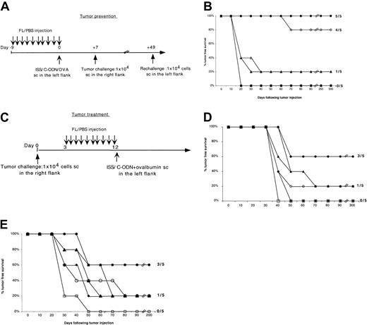 Fig. 4. Ag loading and ISS activation of FL-mobilized DCs induce tumor protection and regression of established tumors. / (A,C) Experimental design. Groups of 5 mice were immunized with 9 daily injections of FL followed by 1 SC injection of OVA mixed with ISS, C-ODN, or PBS on day 0. The mice were challenged with one SC injection of 1 × 104 B16-OVA melanoma tumor cells in the opposite flank 1 and 7 weeks following immunization (tumor prevention) or 3 days prior to the first FL injection (tumor treatment). (B) Kaplan-Meier graphs showing the tumor-free survival of mice treated as described in panel A. Results shown are representative of 3 separate experiments. ● indicates FL-ISS-OVA (1 tumor challenge); ○, FL-ISS-OVA (rechallenge); ▴, FL–C-ODN–OVA; ▵, FL-OVA; ♦, ISS-OVA; ■, OVA alone. (D,E) Kaplan-Meier graphs showing the tumor-free survival of mice treated as described in panel C. These graphs are the results of 2 separate experiments. Statistically significant differences in tumor-free survival were found between mice treated with FL plus ISS plus OVA compared to control groups in both the tumor prevention (P = .0002) and the 2 tumor treatment experiments (P = .004). There was no statistical difference in tumor-free survival between FL plus OVA or FL plus OVA plus C-ODN and the control groups (P > .1) in any of the experiments. In panels D-E, ● indicates FL-ISS-OVA; ○, FL-ISS; ▴, FL–C-ODN–OVA; ▵, FL-OVA; ♦, ISS-OVA; ■, OVA alone.