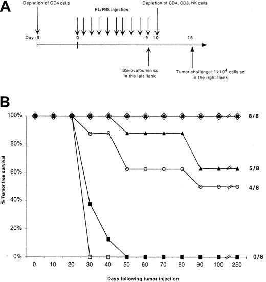 Fig. 5. CD8 T cells and NK cells mediate the antitumor effect of FL plus Ag plus ISS. / (A) Experimental design. Groups of 8 mice were immunized with PBS alone or with FL followed by a SC injection of ISS mixed with OVA. Cohorts of mice were injected with either anti-CD4 antibody 6 days prior to immunization or with anti-CD4, anti-CD8, or anti-NK cell antibody 1 day after immunization. Mice were then challenged 1 week following immunization with 1 × 104 melanoma tumor cells. (B) Kaplan-Meier graphs showing the tumor-free survival of mice inoculated as described in panel A. Statistically significant differences in tumor-free survival were found between nondepleted mice versus CD8-depleted mice (P < .001) and between nondepleted versus NK cell-depleted mice (P = .003). ● indicates FL-ISS-OVA; ⋄, FL-ISS-OVA (CD4 depletion day +10); ▴, FL-ISS-OVA (CD4 depletion day −6); ○, FL-ISS-OVA (NK depletion); ▪, FL-ISS-OVA (CD8 depletion); ■, OVA alone.