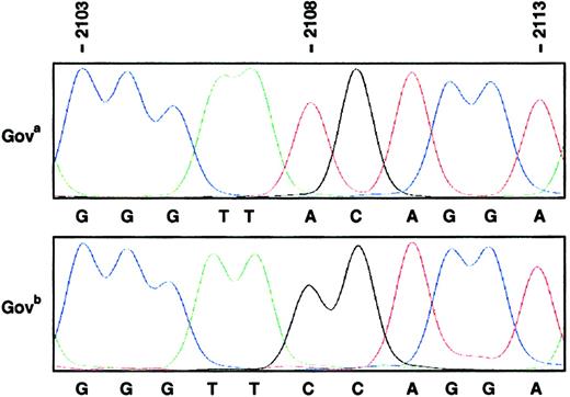 Fig. 2. An A/C SNP at position 2108 of the CD109 cDNA defines the Gov alloantigens. / CD109 cDNA sequences flanking nucleotide 2108 and derived from a Govaa (top panel) or a Govbb (bottom panel) panel 1 donor are shown. Nucleotide coordinates correspond to the CD109 cDNA sequence of Lin et al.10 The nucleotide 2108 SNP is concordant with the Gov phenotyping and results in an amino acid substitution.