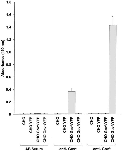 Fig. 3. MAIPA analysis of. / Gova andGovb transfectants. CHO cells were transfected with Gova/YFP-,Govb/YFP-, or control YFP-expressing plasmid vectors and analyzed by MAIPA by using well-characterized Gova and Govb antisera and control blood group AB sera. Anti-Gova and anti-Govb sera react only with Gova- andGovb-expressing cells, respectively. The increased signal produced with the anti-Govb serum reflects the known higher titer of this reagent.11 Three independent AB sera produced results similar to the AB serum data shown. CHO, untransfected cells; CHO YFP, cells transfected with the empty vector pIRES-EYFP; CHO Gova/YFP, cells transfected with the Gova-expressing pIRES-EYFP derivative pK1/YFP; CHO Govb/YFP cells transfected with theGovb-expressing pIRES-EYFP derivative pK1b/YFP. Error bars indicate ± 2 SD from the mean, based on 2 experiments each performed in duplicate.