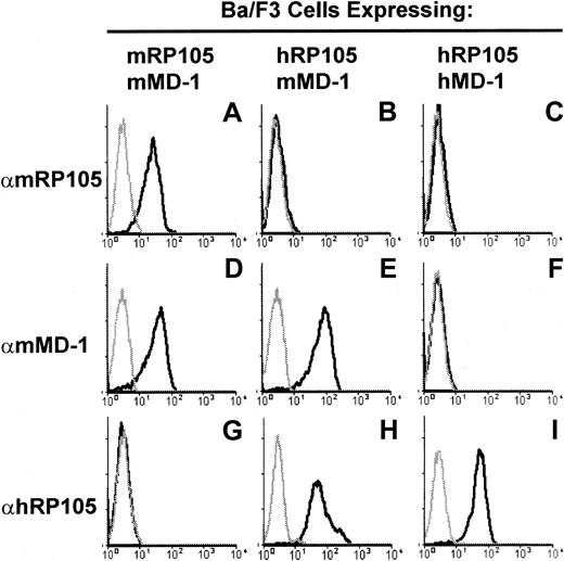 Fig. 1. Establishment of anti–MD-1 mAbs. / The specificity of anti–MD-1 mAbs is shown with flow cytometry staining of Ba/F3 cells expressing either mouse RP105/mouse MD-1 (A, D, G), human RP105/mouse MD-1 (B, E, H), or human RP105/human MD-1 (C, F, I). These cells were stained with the mAbs to either mouse RP105, RP/14 (A-C), mouse MD-1, MD14 (D-F), or human RP105, MHR73 (G-I). FITC-labeled goat anti–rat IgG or anti–mouse IgG was used for the second reagent. Gray lines depict staining with the second antibody alone.