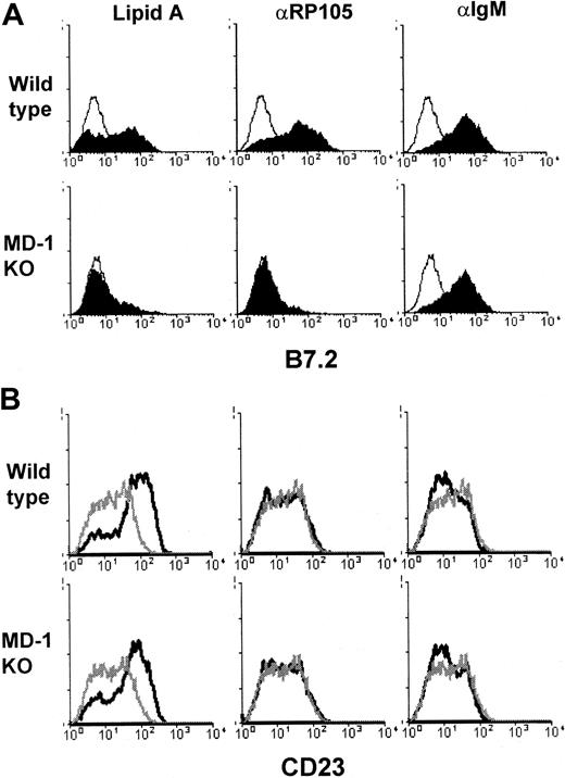 Fig. 4. LPS-induced up-regulation of B7.2/CD86, but not CD23, is impaired in MD-1–deficient B cells. / Purified B cells from wild-type (upper panels) or MD-1–deficient (lower panels) mice were stimulated with lipid A (1.0 μg/mL), anti-RP105 (10 μg/mL), or anti-IgM (10 μg/mL), as indicated. After 1 day, cells were harvested and stained with anti-B7.2 (A) or anti-CD23 (B). Open histograms (A) and gray lines (B) show cells stimulated with medium alone. Similar results were obtained from 3 independent experiments.