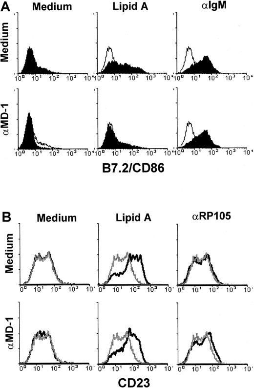 Fig. 8. Effect of an anti–MD-1 mAb on up-regulation of B7.2/CD86 and CD23. / Purified B cells were stimulated with lipid A (1.0 μg/mL), anti-RP105 (10 μg/mL), or anti-IgM (10 μg/mL) in the presence (lower panels) or absence (upper panels) of the anti–MD-1 mAb MD113 (10 μg/mL), as indicated. After 1 day, cells were harvested and stained with anti-B7.2 (A) or anti-CD23 (B). Open histograms (upper panels) and gray lines (lower panels) show cells stimulated with medium alone. Similar results were obtained from 3 independent experiments.