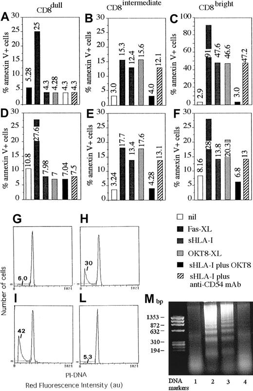 Fig. 2. Soluble HLA-I induces apoptosis in NK cells through its interaction with CD8. / NK cell clones expressing different levels of CD8 (CD8dull, clones Cl.8.25 and Cl.S4, panels A,D; CD8intermediate, clones Cl.8.6 and Cl.4.25, panels B,E; and CD8bright, clones Cl. 77.12 and Cl.S2, panels C,F), but homogeneously expressing CD94/NKG2 complex and KIR2D− were incubated with medium alone (nil), or anti-Fas mAb (CH-11, 1 μg/mL) (Fas-XL) or 4 μg/mL sHLA-I or anti-CD8 mAb (OKT8, 1 μg/mL) followed by 4-per-cell GAM-coated magnetic beads (OKT8-XL) to achieve CD8 cross-linking or 4 μg/mL sHLA-I either after preincubation with anti-CD8 mAb (OKT8, 1 μg/mL) to avoid sHLA-I interaction with CD8 or anti-CD54 mAb as control mAb. Cells were then analyzed for the reactivity with FITC–annexin V after 48 hours. Results are expressed as the percentage of annexin V+ PI− (numbers in each panel indicate the percentage of apoptotic cells). (G-L) DNA staining with PI of fixed and permeabilized NK cells (Cl.77.12) incubated with medium alone (G), or 4 μg/mL sHLA-I (H) or anti-CD8 mAb (OKT8, 1 μg/mL) followed by 4-per-cell GAM-coated magnetic beads (I) to achieve CD8 cross-linking or 4 μg/mL sHLA-I after preincubation with anti-CD8 mAb (L) to avoid sHLA-I interaction with CD8. Numbers in each panel indicate the percentage of NK cells with a less than 2n DNA content (apoptotic cells, markers). (M) DNA laddering of NK cells (Cl.77.12) incubated with medium alone (lane 1), or 4 μg/mL sHLA-I (lane 2) or anti-CD8 mAb (OKT8, 1 μg/mL) followed by 4-per-cell GAM-coated magnetic beads (lane 3) or 4 μg/mL sHLA-I, after preincubation with anti-CD8 mAb (OKT8, 1 μg/mL, lane 4). DNA markers are shown on the left.