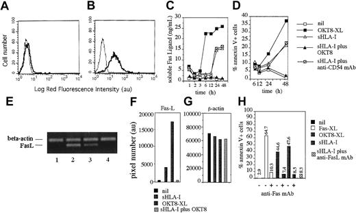 Fig. 4. sHLA-I induces transcription of Fas-L mRNA, Fas-L secretion, and apoptosis by Fas-FasL interaction. / (A,B) Indirect immunofluorescence analysis of the NK cells clone Cl.77.12 (CD8bright) for surface (A) or cytoplasmic (B) expression of FasL. Left histograms in each panel represent cells stained with an unrelated isotype matched mAb followed by GAM-PE. Data are representative of results obtained analyzing 10 different NK cell clones. (C,D) FasL concentration (nanogram per milliliter) in culture SN (C) or NK cell apoptosis (annexin-V+ PI−, D) were evaluated at different time points after incubation of NK cells with medium alone (nil) or with 4 μg/mL sHLA-I or the anti-CD8 mAb (OKT8, 1 μg/mL) followed by 4-per-cell GAM-coated magnetic beads (OKT8-XL) to achieve CD8 cross-linking, or sHLA-I (4 μg/mL) after covering CD8 with anti-CD8 mAb (sHLA-I plus OKT8) or with anti-CD54 mAb as control mAb. (E) Normalized aliquots of total RNA (10 μg), isolated from the NK-1 population, were incubated for 3 hours with medium alone (lane 1) or anti-CD8 mAb (OKT8, 1 μg/mL) followed by 4-per-cell GAM-coated magnetic beads (lane 2) or with 4 μg/mL sHLA-I (lane 3), or sHLA-I (4 μg/mL) after covering of CD8 with anti-CD8 mAb (lane 4) and amplified by PCR with the specific primers for β-actin or FasL, as indicated, and PCR products were size-fractionated by agarose electrophoresis. Bands corresponding to FasL (F) and β-actin (G) were subjected to densitometric analysis, and results are expressed in pixel number (au). (H) NK cells (clone 35.6, CD8bright) were either untreated or pretreated with the apoptosis-blocking anti-Fas mAb (ZB4) and incubated with medium alone (nil), or with the apoptosis-inducing anti-Fas mAb (CH-11, Fas-XL) or OKT8 followed by 4-per-cell GAM-coated magnetic beads (OKT8-XL) or 4 μg/mL sHLA-I. Similar results were obtained with 4 additional CD8bright NK cell clones.