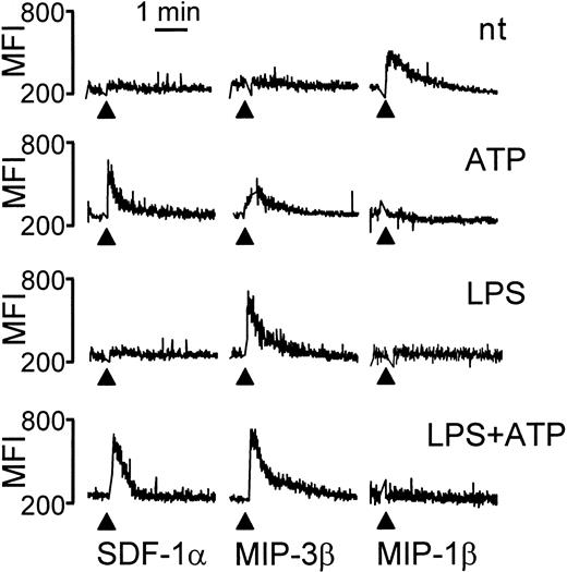 Fig. 3. Functional expression of CXCR4, CCR7, and CCR5 in immature or maturing DCs exposed to ATP. / DCs were incubated for 24 hours with ATP alone, LPS alone, LPS and ATP, or none of these agents; loaded with 8 μM fluo-3–acetoxymethyl ester in the presence of 1 μM pluronic F-127; and tested for intracellular calcium mobilization in response to SDF-1α (CXCR4 ligand), MIP-3β (CCR7 ligand), and MIP-1β (CCR5 ligand) (all at a concentration of 100 ng/mL). Calcium flux was measured with a FACScan device. Results are the kinetics of MFI and are representative of 4 independent experiments.